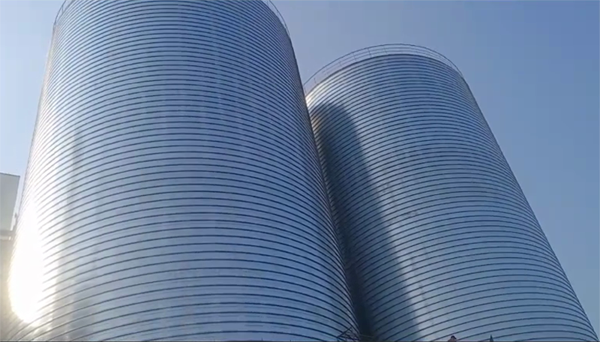 张家界2座混凝土高架卷板仓